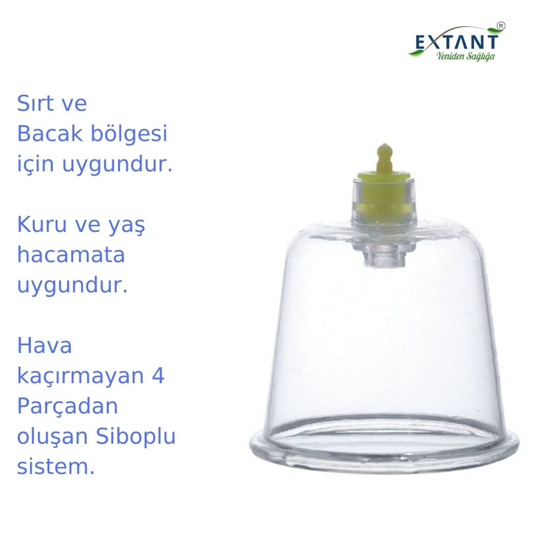 100 Adet 7 No Hacamat Kupası Masaj Kupası Ve 1 Adet Pompa